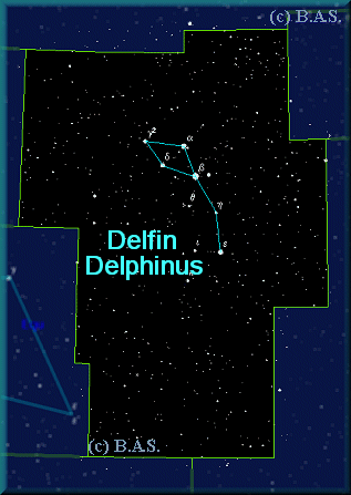 Sternbild Delfin am Somerhimmel