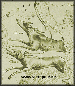 Sternbild Jagdhunde antike Darstellung