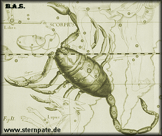 Sternzeichen Skorpion, Sternbild Skorpion